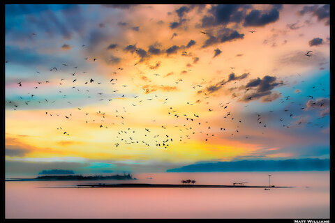 FINE ART PRINTS ON SALE – 15 to 30% Off!!